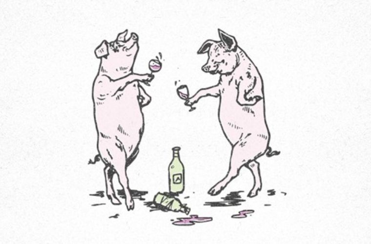 Two pigs toastings to wine